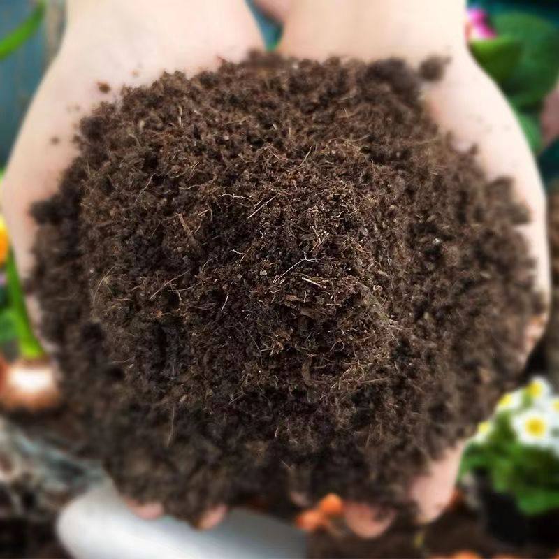 天然松针腐殖土兰花多肉营养土养花专用种菜土壤通用型腐叶种植土