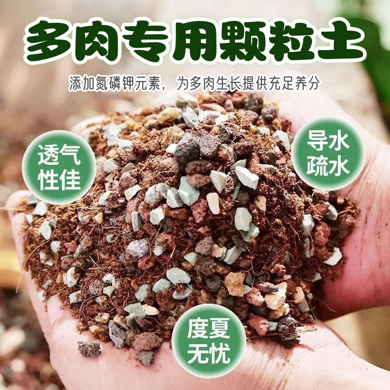 多肉植物专用颗粒土铺面石河沙虹彩石兰花土特价清仓多肉土营养土 鲜花速递/花卉仿真/绿植园艺 介质/营养土 原图主图