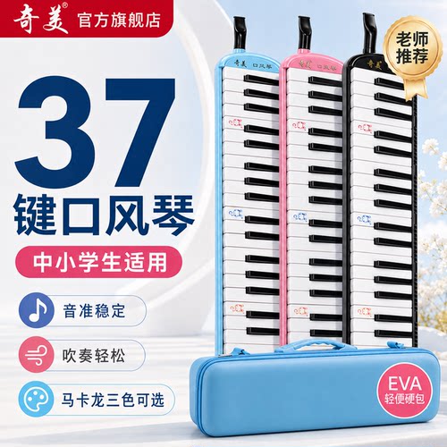 奇美小学生专用口风琴马卡龙多色