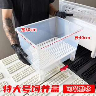 特大号饲养盒乌龟发色盒幼龟孵化蛋龟加温黑白隔离龟苗带沉淀板