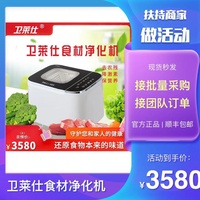 卫莱仕食材净化机洗菜机果蔬清洗机食材净化器消毒机批量采购合作