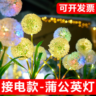 接电蒲公英灯户外防水庭院灯草坪地插灯景观灯低压12v亮化圆球灯