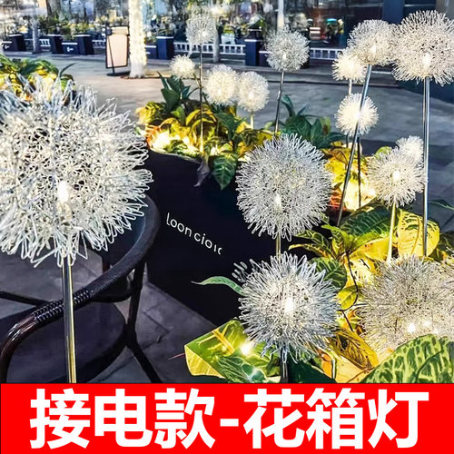 蒲公英灯草坪球灯装饰灯花箱灯