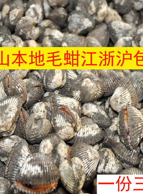 石浦毛蚶象山本地泥蚶血蚶江浙沪包邮毛蛤哈蜊 鲜活贝壳水产海鲜