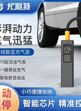 尤利特铝合金车载充气泵小轿车suv新能源电动汽车用轮胎打气泵12V