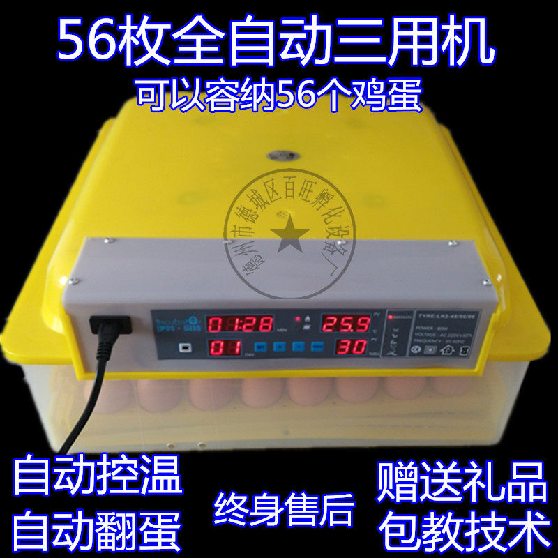 蛋坑卵化箱小型自动控温敷蛋箱