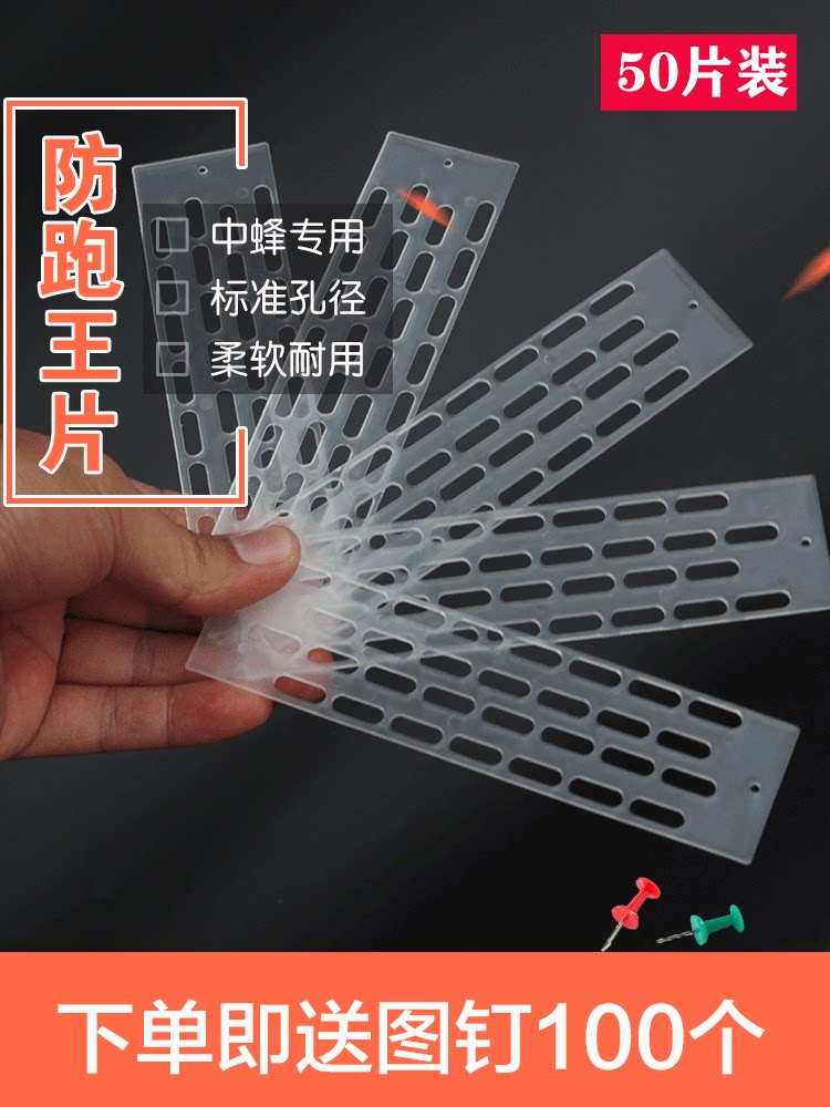 中蜂塑料防跑巢门隔王片50个蜂箱防跑王片蜂箱隔珊片蜜蜂箱专用
