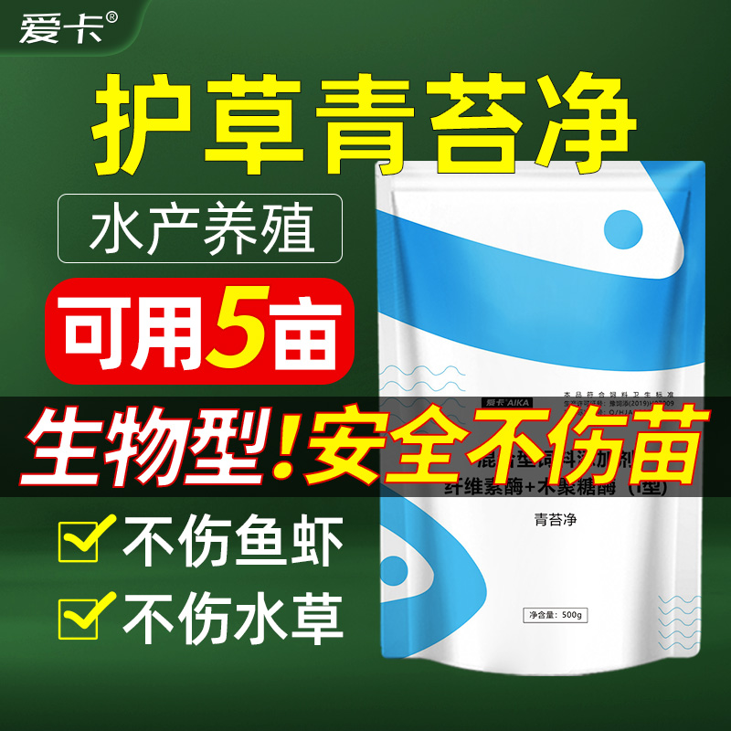 青苔分解酶水产养殖除藻剂虾塘生物青苔净不伤水草鱼虾蟹塘青苔净