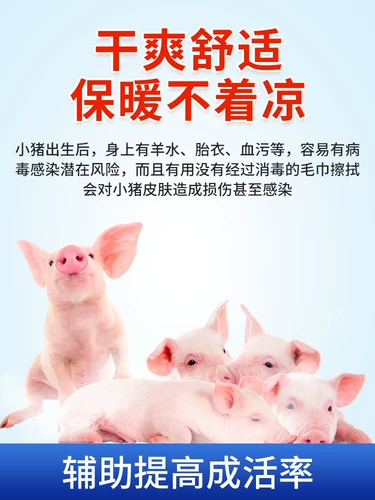 Свинька поднимает сырой порошок, поросят, свинца, свинома