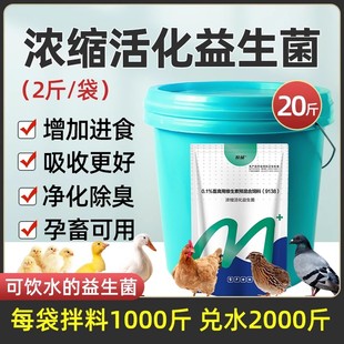 兽用浓缩活化益生菌猪牛羊鸡鸭鹅调理肠道开胃消食催肥降氨添加剂