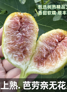 【顺丰空运】高熟芭劳奈无花果