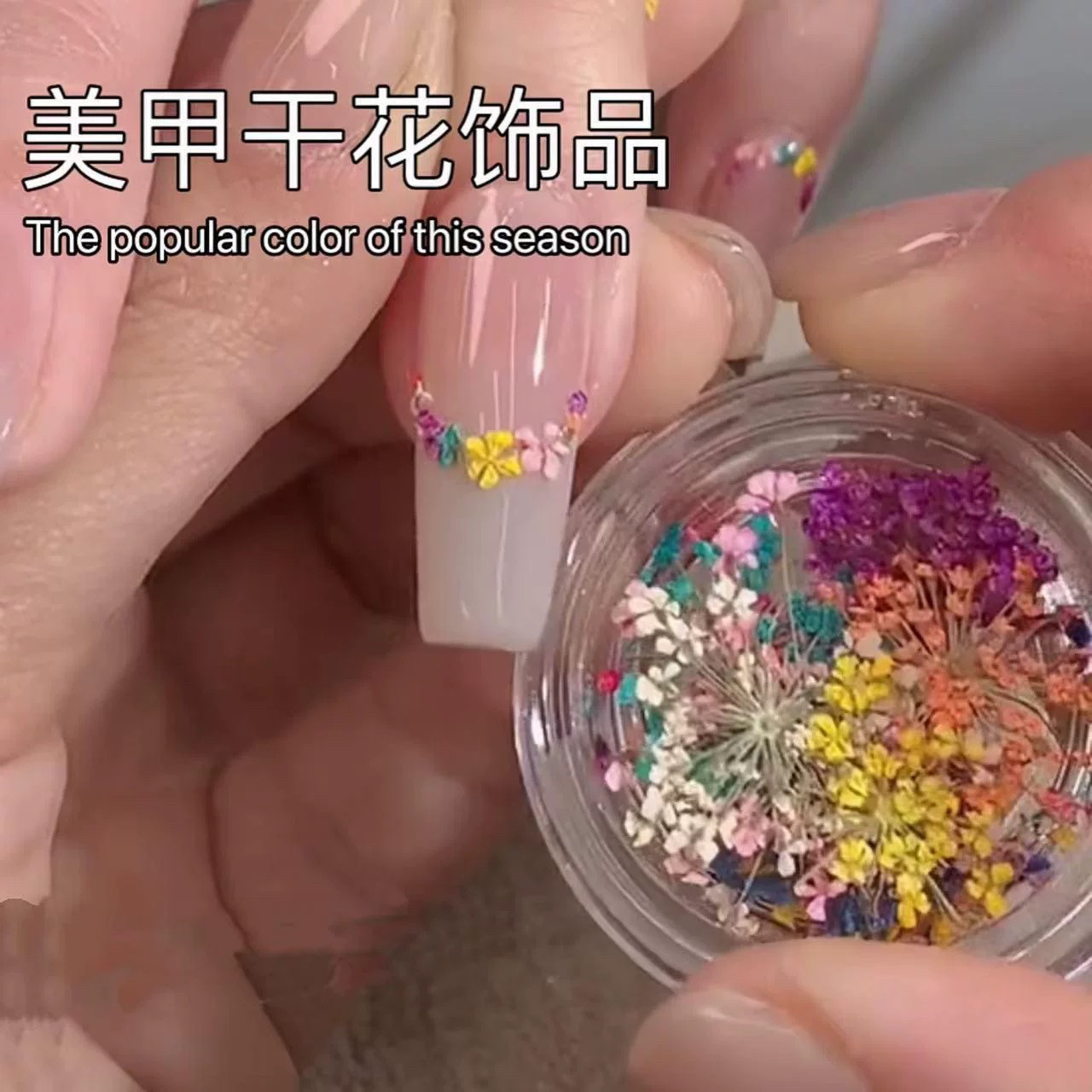 网红爆款美甲干花立体花朵饰品彩美甲工具