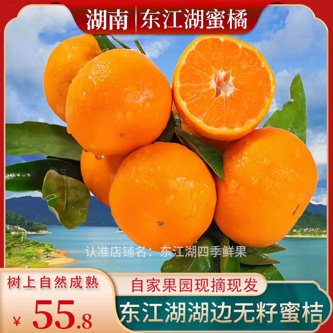 蜜桔新鲜东江湖青皮橘子无籽应季孕妇无核桔子整箱蜜橘10湖南柑橘