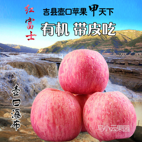 有机山西吉县红富士新鲜水果