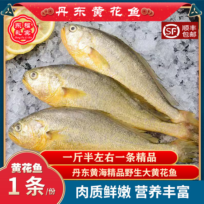 丹东特产黄花鱼冰鲜大黄花鱼海鲜新鲜黄花鱼海鲜水产深海黄花鱼