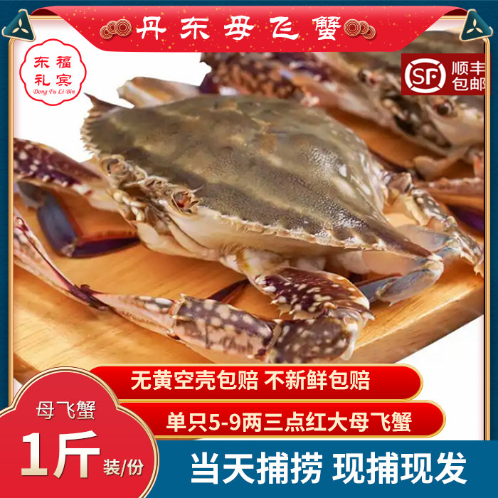 【保鲜不保活】丹东特产大梭子蟹丹东母飞蟹满黄海鲜特大满肉,水产肉类/新鲜蔬果/熟食,梭子蟹,淘宝优惠券,粉丝福利购,淘宝优惠卷