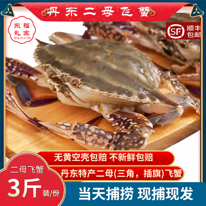 丹东野生海鲜梭子蟹飞蟹满黄满肉