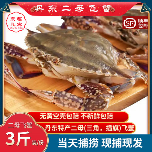 丹东野生海鲜梭子蟹飞蟹满黄满肉