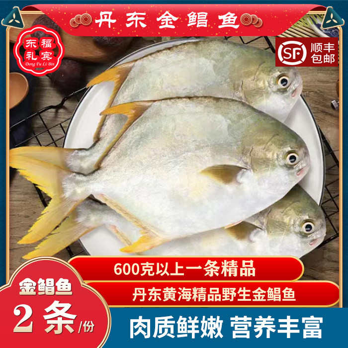 丹东野生金鲳鱼大鲳鱼野生海鲜金昌鱼海鲜深海野生大鱼顺丰包邮