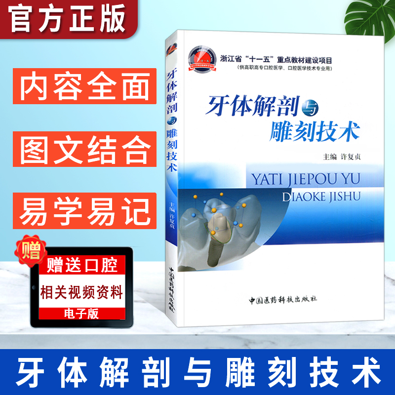 正版书籍 牙体解剖与雕刻技术 许复贞 著作 口腔科学书籍 口腔书籍 牙体解刨系列书籍 口腔医学类专业书籍 牙体雕刻技术方法步骤