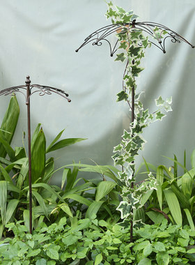 铁艺植物爬藤架阳台户外月季支架