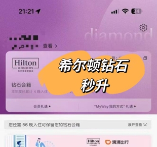 Hilton希尔顿钻石卡 秒升120天 挑战