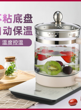 全自动多功能家用小型养生壶