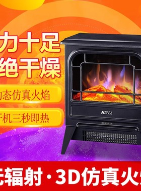 富迩佳19C欧式电壁炉取暖器家用办公室暖风机电暖气仿真火焰速热