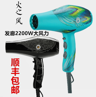 火之鳳8960吹風機火鳳凰專業大功率電吹風筒家用冷熱風理發店 正品