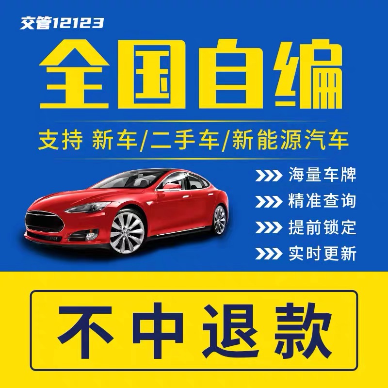 全国车牌选号自编自选上海广州成都杭州新能源汽车12123新车查询 汽车零部件/养护/美容/维保 其它服务 原图主图