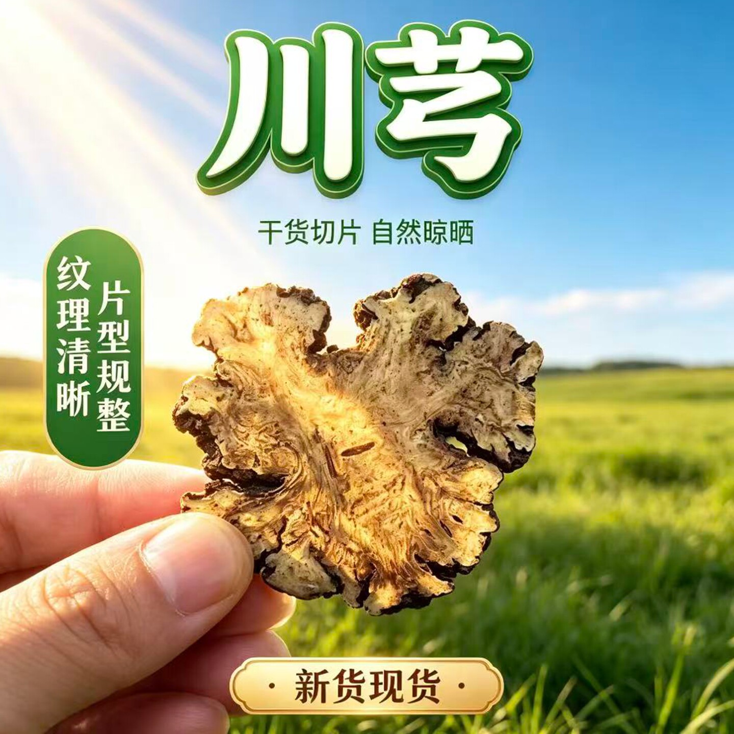 野生川芎/川芎片干货切片自然晾晒纹理清晰片型规整新货现货