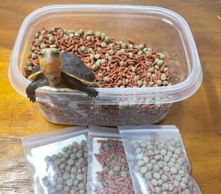 【育龟之道】沼泽龟西非龟增色发色龟粮通用乌龟食物饲料补钙龟粮