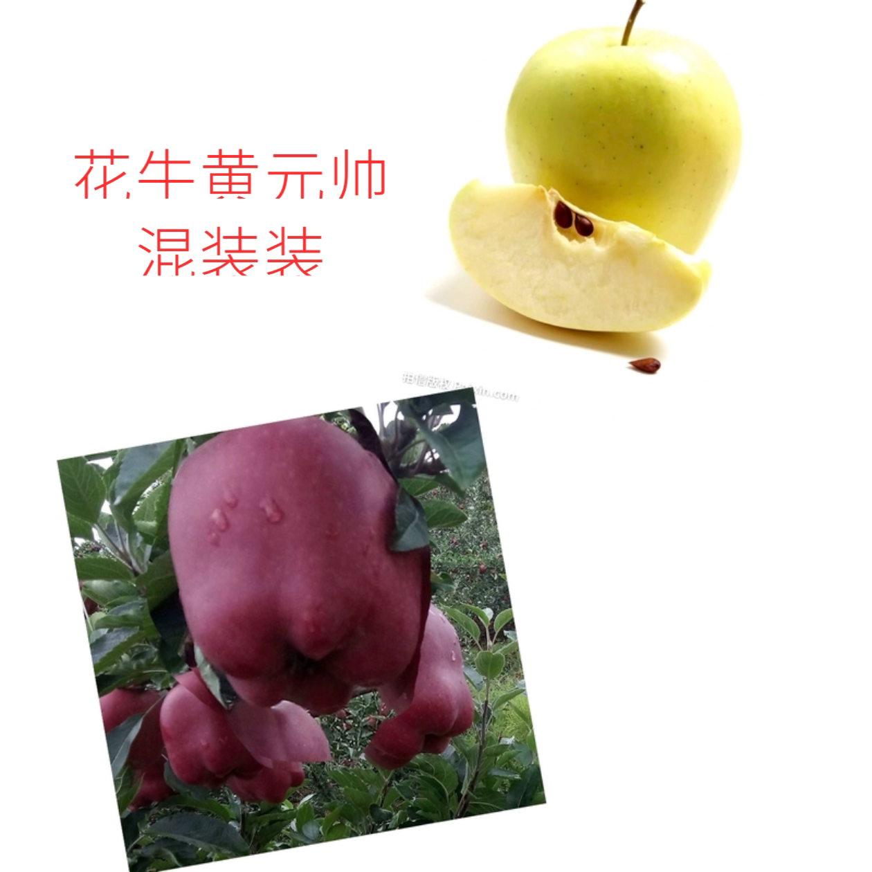 天水花牛苹果黄元帅合装宝宝刮泥粉面果农直发当季新鲜水果10斤