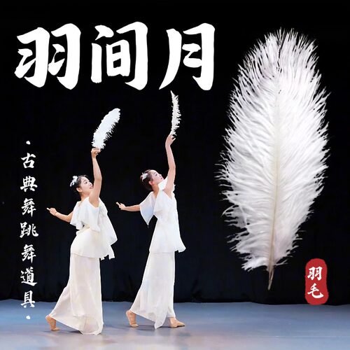 羽间月舞蹈道具鸵鸟羽毛