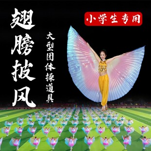 运动会入场创意道具翅膀披风三色渐变小学生大型团体操方阵开幕式