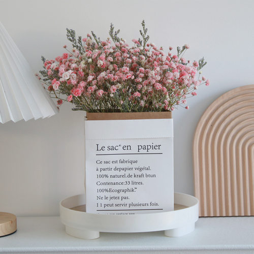 自然风干满天星干花桌面摆件