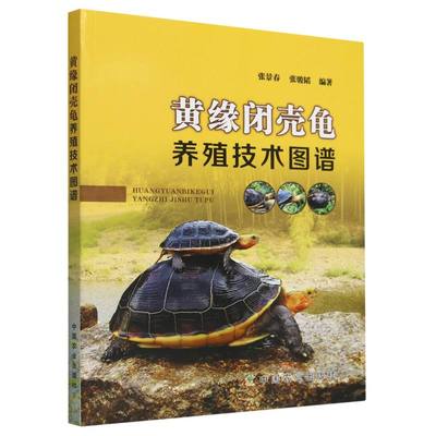 BK黄缘闭壳龟养殖技术图谱
