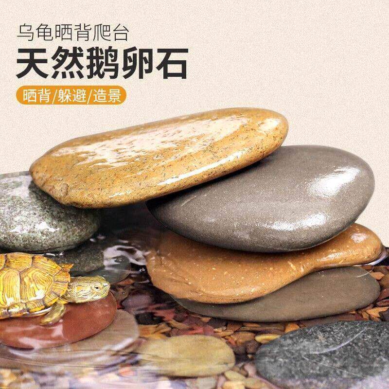 乌龟晒台晒背石天然鹅卵石鱼缸造景原石头爬宠露台爬台扁石超大块