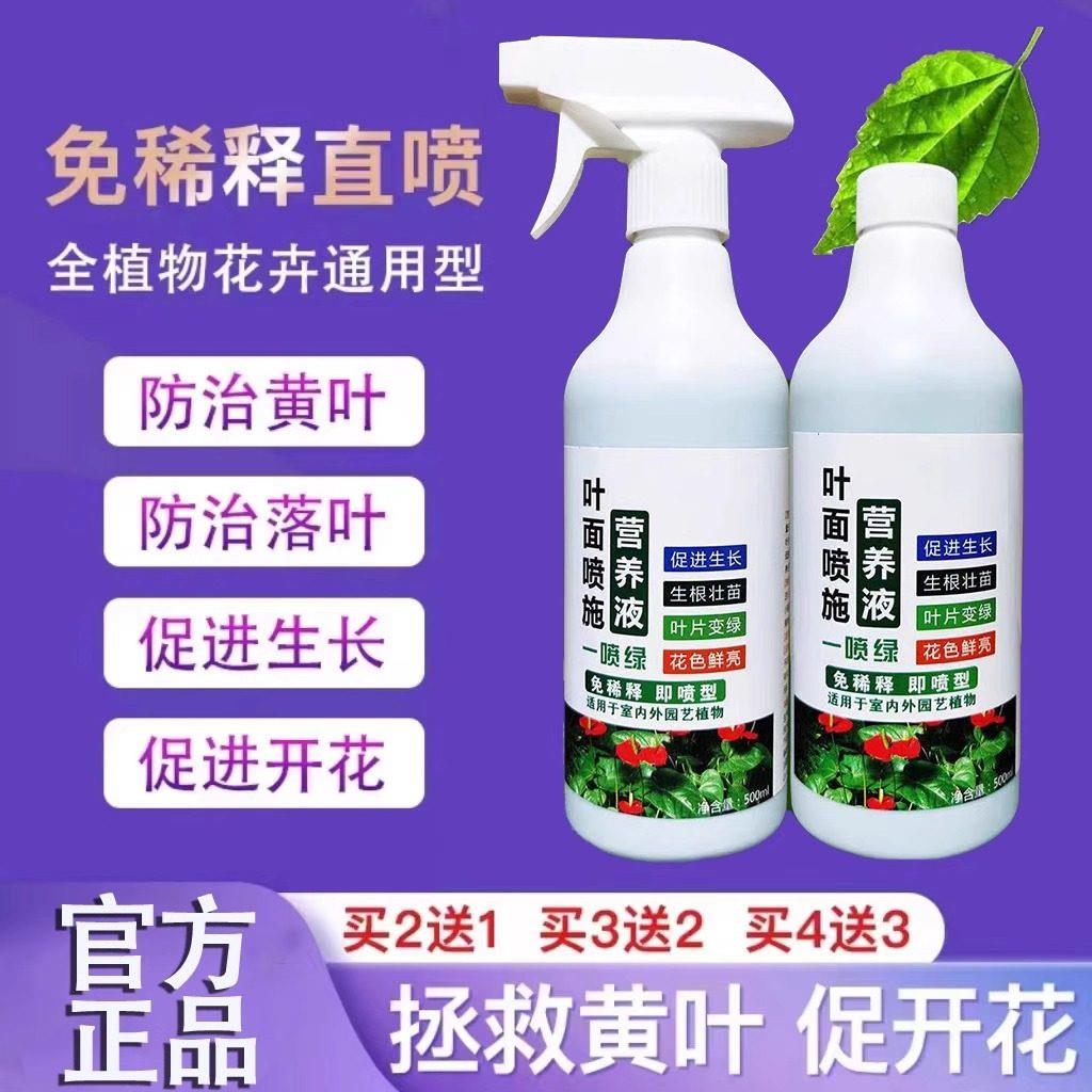 汤本巨绿庆汤本成植物营养液直喷通用型绿植花卉盆栽汤本城绿庆
