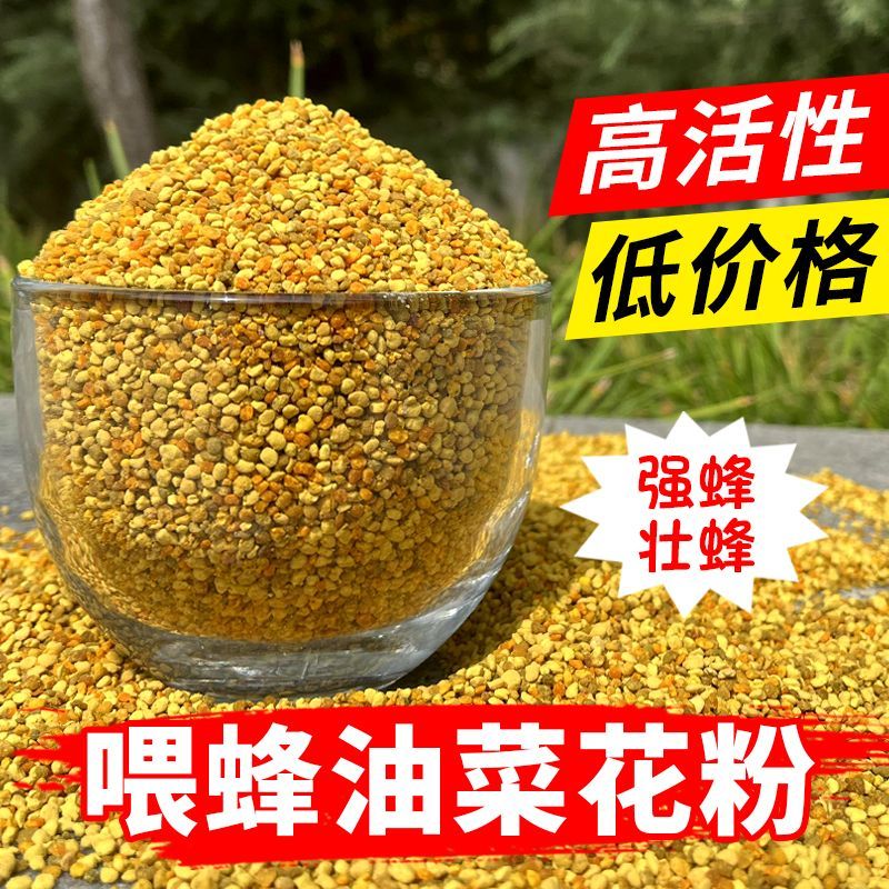 油菜花粉喂蜂养蜂纯正天然正品中蜂专用杂花粉颗粒蜂粮蜜蜂饲料