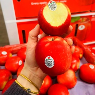 现货新西兰红玫瑰苹果泰勒苹果脆甜多汁当季 孕妇水果红苹果嘎啦果