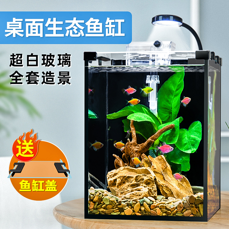 桌面斗鱼缸超白客厅小型