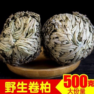 九死还魂草还阳草盆栽新奇水培植物卷柏假山水陆雨林缸造景不死草