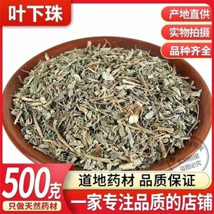 中药材正品叶下珠500g 天然珍珠草 叶下珠茶新鲜干货鱼鳞草叶后珠
