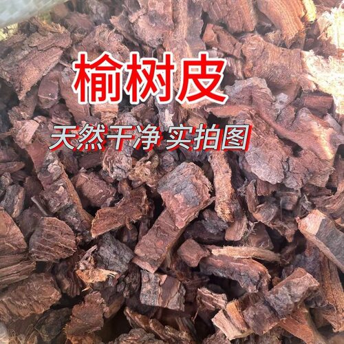 中药材 榆树皮 野生正品老榆钱树皮 白家榆 救命粮新货500g克包邮
