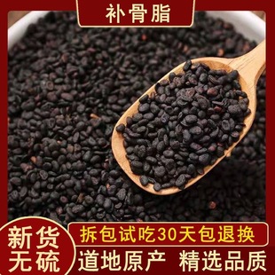 中药材补骨脂生故子 补骨脂生补骨脂500克包邮\店内另有炒的