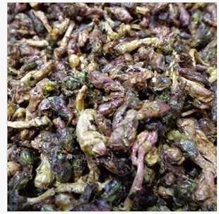 中药材蜜炙 制冬花 款冬花 蜜炙冬花 炒冬花 蜜制冬花 500克包邮