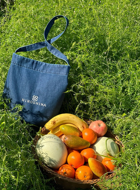 日系百搭牛仔布包装书饭盒袋ins简约可爱手拎袋上班手提便当包