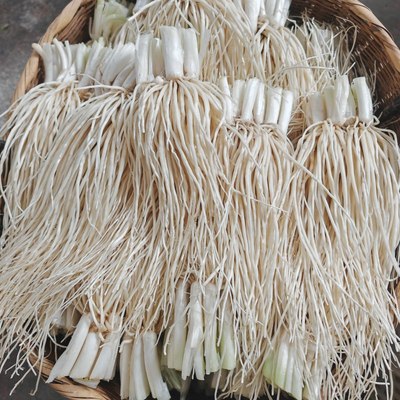 云南德宏新鲜牛皮苤撇菜根