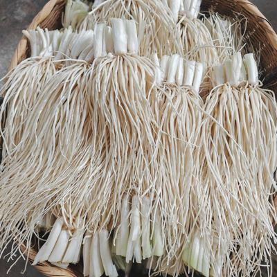 云南德宏新鲜牛皮苤撇菜根